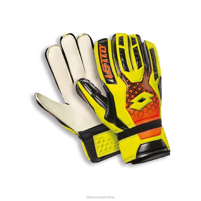 GLOVE GK SPIDER 900 JR SPORTS Lotto Kids Accessoris 0Z6F1230