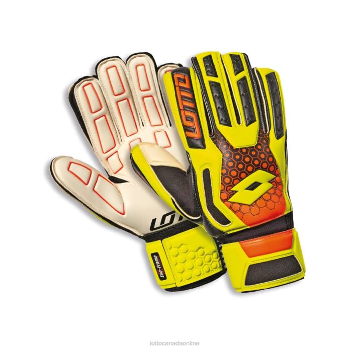 GLOVE GK SPIDER 100 SPORTS Lotto Man Accessoris 0Z6F642